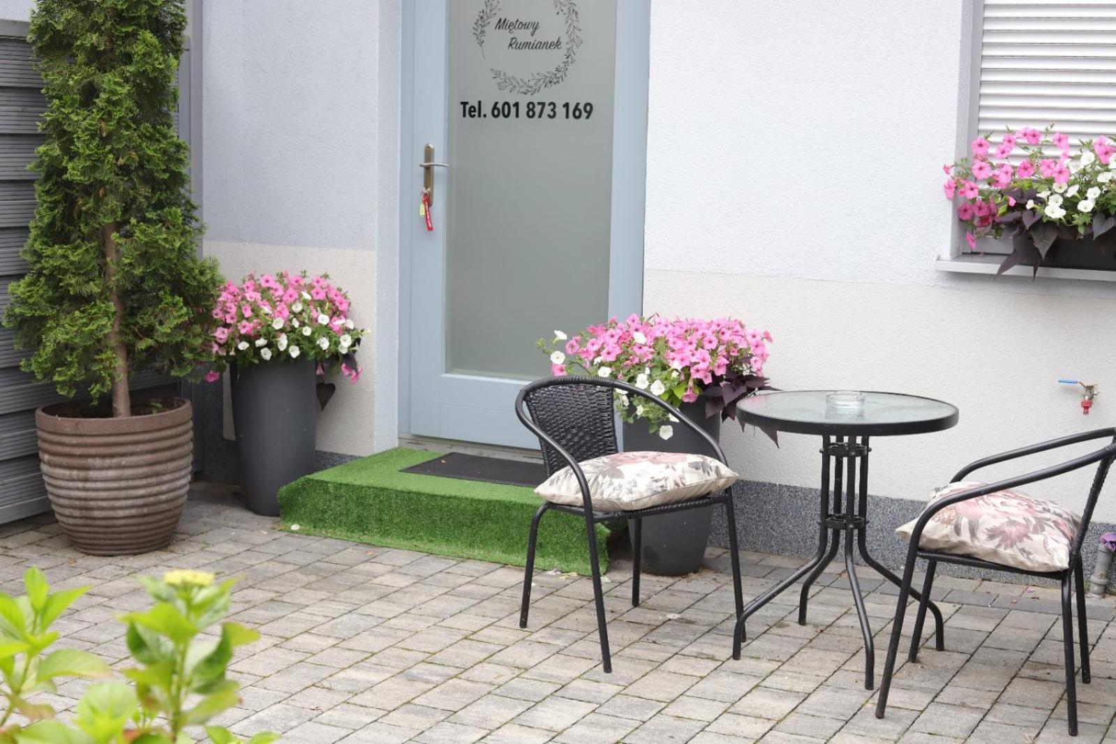 2 Apartament Mietowy Rumianek Lwowek Екстериор снимка